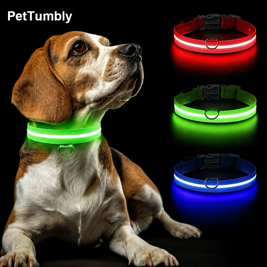 Travel Accessories For Dogs - طوق مضيء للكلاب قابل للشحن بـ3