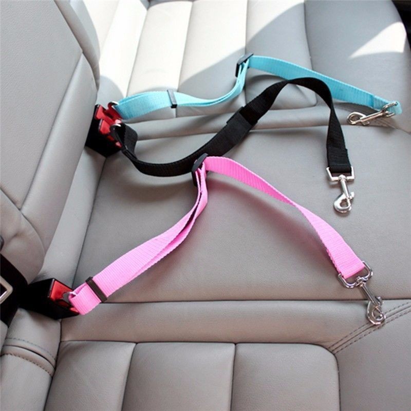 حزام أمان للقطط والكلاب في الس - مراجعة Travel Accessories For Dogs وسعره